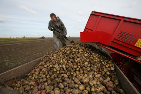 В Ставрополе летом начнут производить зерновозы на базе белорусских фургонов