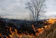 Участок федеральной трассы Екатеринбург-Курган перекрыт из-за возгорания травы