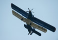 Самолет Ан-2 с 11 пассажирами совершил жесткую посадку в Архангельской области