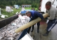 Массовая гибель рыбы произошла в Ириклинском водохранилище в Оренбуржье