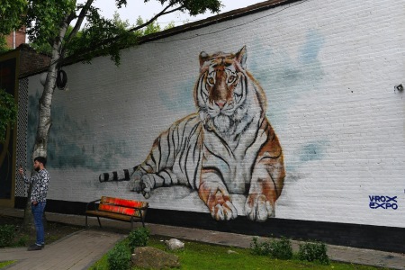 Индийские художники создали во Владивостоке граффити с изображением тигра