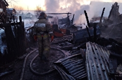 Трое детей и их мать погибли при пожаре в свердловском поселке