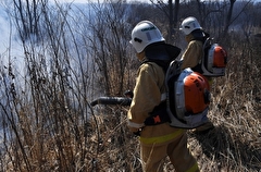 Челябинскую область признали готовой к пожароопасному сезону - власти