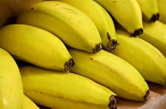 Калининградская полиция изъяла 76 кг кокаина в бананах из Колумбии