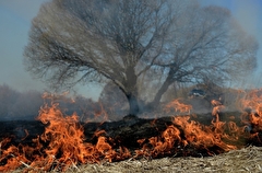 Чрезвычайная пожарная опасность ожидается в Крыму
