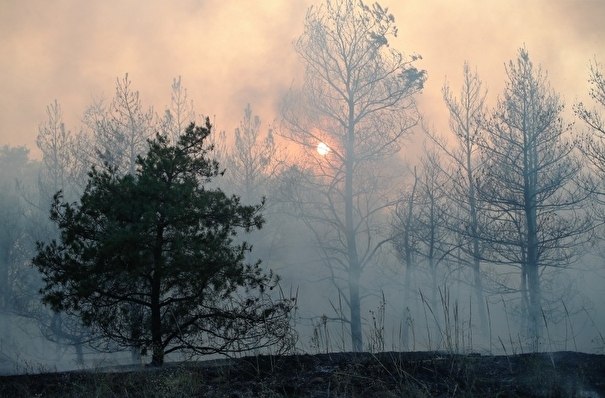 Высокая пожарная опасность объявлена на юге и восточном побережье Приморья