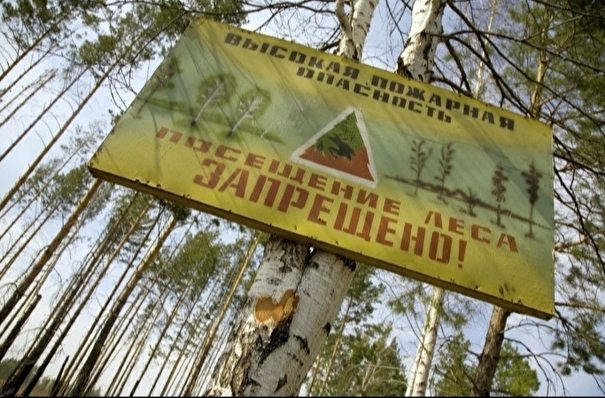 Особый противопожарный режим ввели в большинстве муниципалитетов Красноярского края