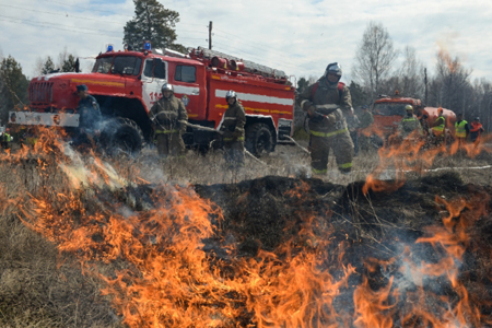 Крупный природный пожар полыхает близ камчатского райцентра