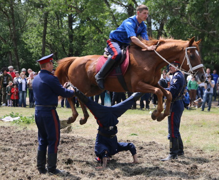Казаки Юга России представят свое мастерство в военно-прикладных видах спорта в Новороссийске