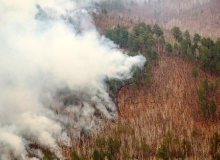 Природные пожары  бушуют в ЯНАО на площади 105 га