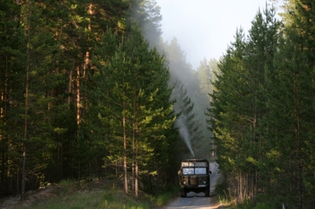 Власти Крыма на три недели ограничили пребывание в лесах из-за опасности пожаров