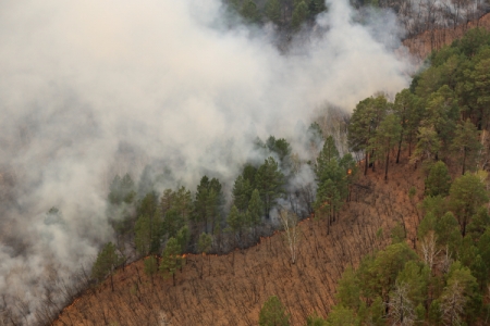 Более 21 тыс. га тайги горит в Иркутской области