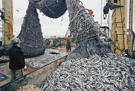 Нынешнее прибрежное рыболовство не отвечает самой сути этого вида рыболовства