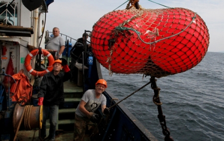 Закон о рыболовстве возвращает запрет на заморозку рыбы в прибрежном промысле