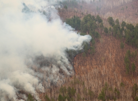 Свыше 1,5 га леса выгорело на Северо-Западе с начала пожароопасного сезона