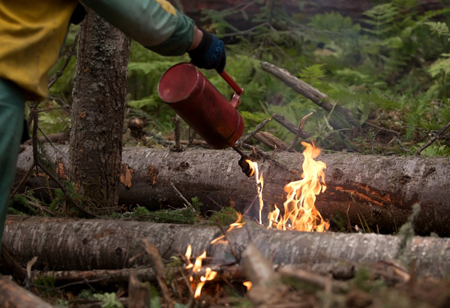 На территории Ямала зафиксировано 26 природных пожаров