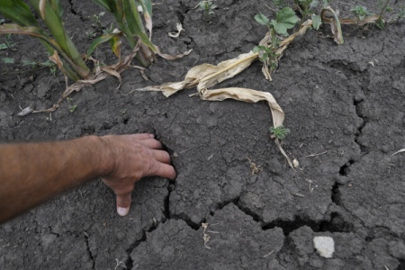 Длительная засуха обощлась Бурятии в 380 млн руб