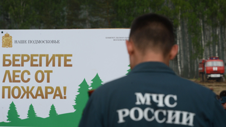 За сутки на Ямале, где введен режим ЧС, возникло 17 новых природных пожаров