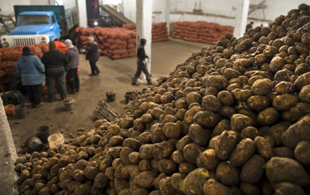 Около 48 тонн "грязного" картофеля из Китая запретили ввозить в Приморье