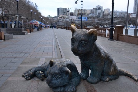 Леопардовая набережная откроется во Владивостоке