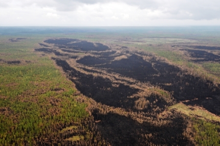 Все природные пожары потушены на Ямале