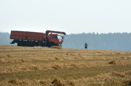 Белгородская область завершила уборку ранних зерновых