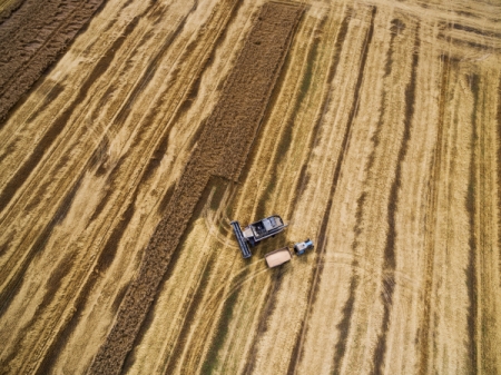 Минсельхоз РФ предлагает обнулить экспортную пошлину на пшеницу с 15 сентября