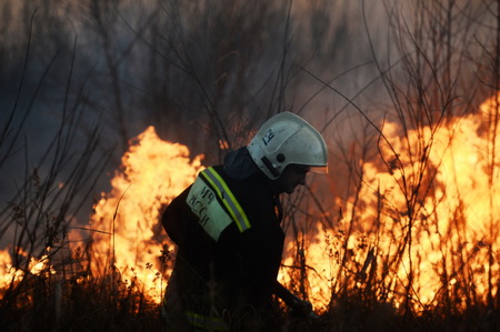 Около 50 га леса охвачено огнем в Бурятии