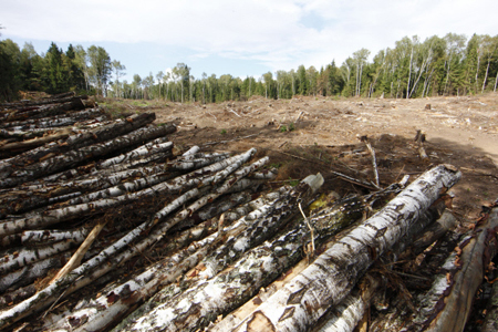 Глава Иркутской области рассчитывает на более глубокую переработку леса на Усть-Илимском ЛПК