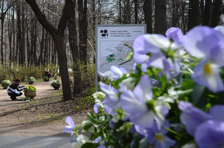 Более 7 млн цветов высадили в Петербурге в 2016 году