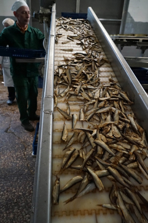 Смольный рассчитывает на интенсивное развитие рыбопереработки в Петербурге