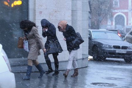 Ущерб от сильного ветра в Черкесске превысил 75 млн рублей