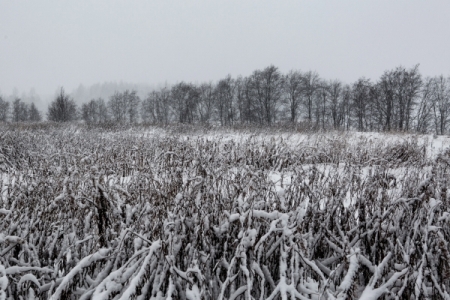 Апрельские снегопады в Иркутской области благоприятно скажутся на сельском хозяйстве