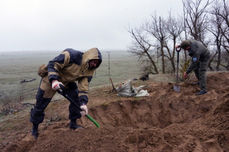 Полторы сотни останков красноармейцев обнаружены в двух захоронениях под Великим Новгородом