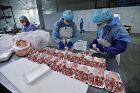 Россельхознадзор не прогнозирует значительных поставок мяса в Турцию