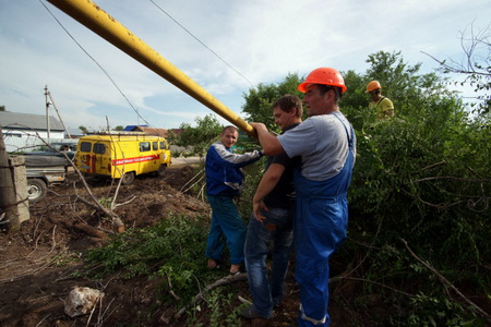 Ревизию аварийных деревьев проведут в Новороссийске после урагана в Москве