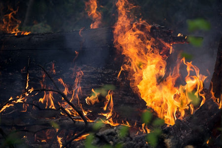 Площадь лесных пожаров в Иркутской области за выходные дни утроилась