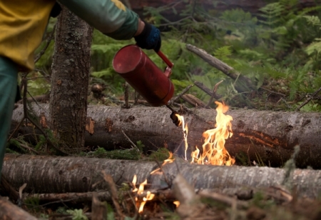 Лесные пожары в ХМАО не угрожают населенным пунктам