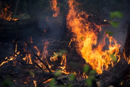 Почти 88 тыс. га леса горят в Иркутской области