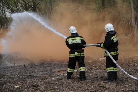 Природный пожар в Азовском районе Ростовской области ликвидирован