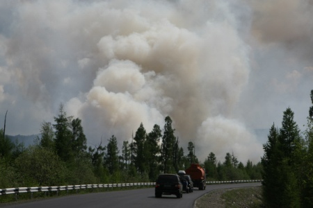 Режим ЧС введен в Волгоградской области из-за ландшафтных пожаров