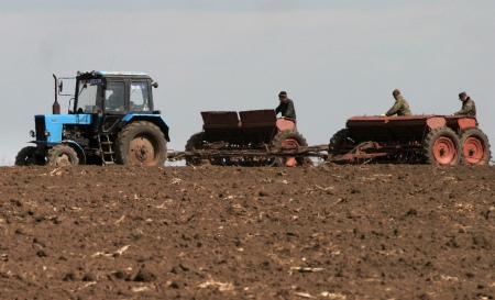 Высокий урожай зерновых ожидают в Томской области