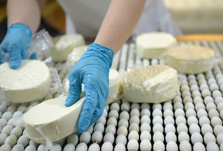 Сыроделы из пяти областей приедут в Калугу на сырный фестиваль