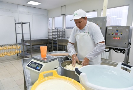 Тульский молочный комбинат начал выпуск и продажу сыров