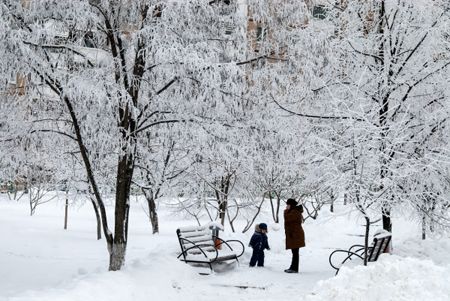 Месячная норма снега может выпасть до конца недели  в Москве