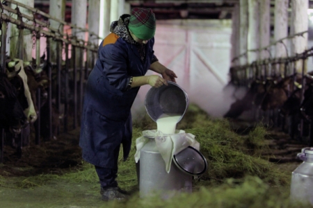 Татарстан просит ввести госинтервенции молочной продукции