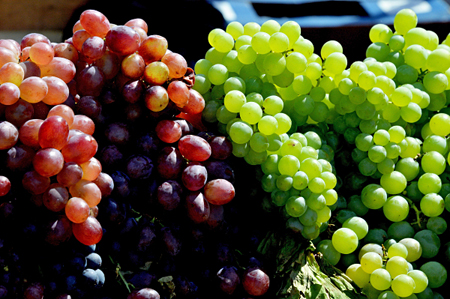 Виноградари Дагестана в 2018г ожидают роста урожая на 6,6%