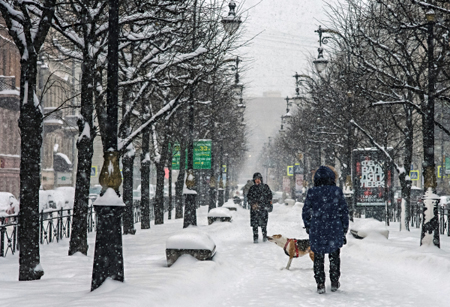 Свыше 20 см снега выпало за два дня в Петербурге