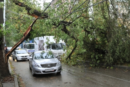 В Приамурье устраняют последствия сильного ветра, повалившего десятки деревьев и электроопоры