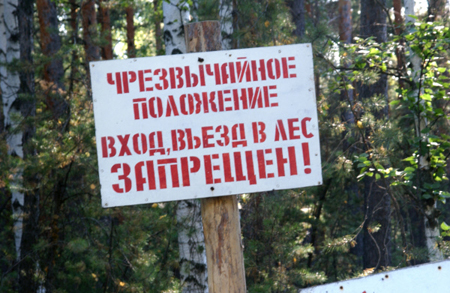 Запрет на посещение лесов Крыма введен на три недели